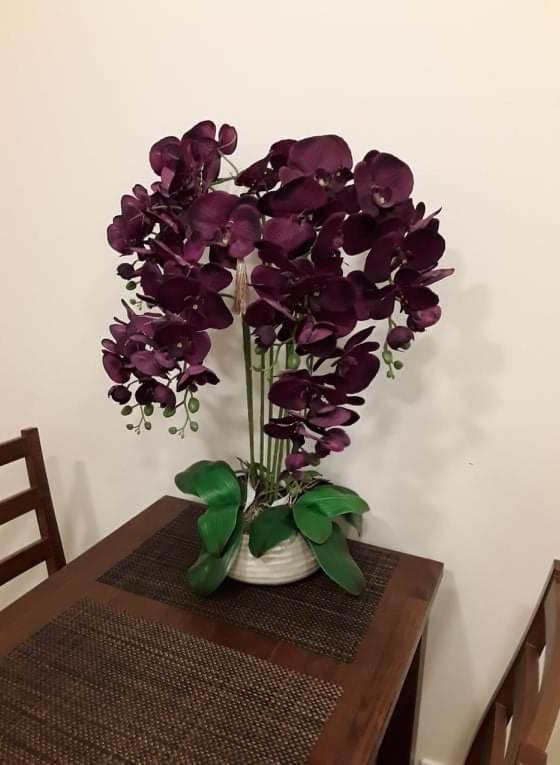 Barbora Apartament دروسكينينكاي المظهر الخارجي الصورة