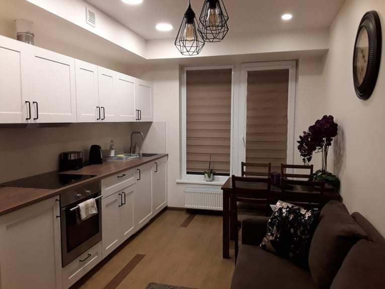 Barbora Apartament دروسكينينكاي المظهر الخارجي الصورة